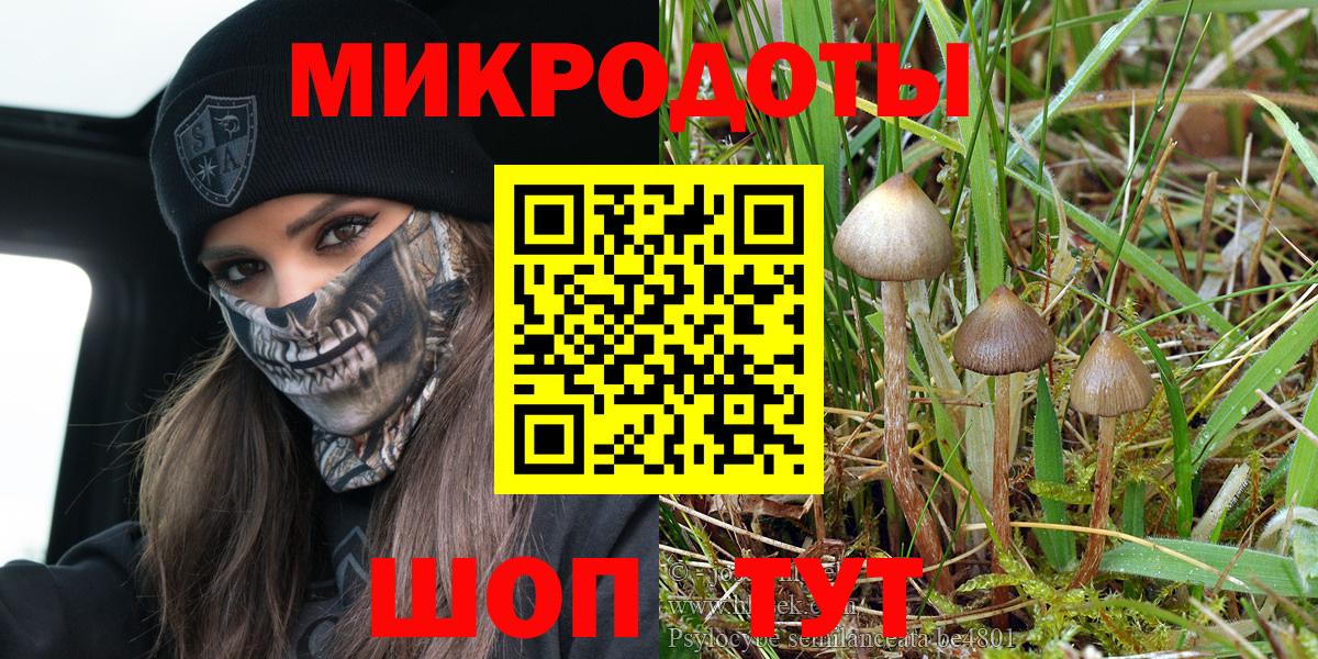 цена наркотик  Псилоцибиновые грибы Psilocybine cubensis  Магадан  Вход с VPN  Галлюциногенные грибы Cubensis 